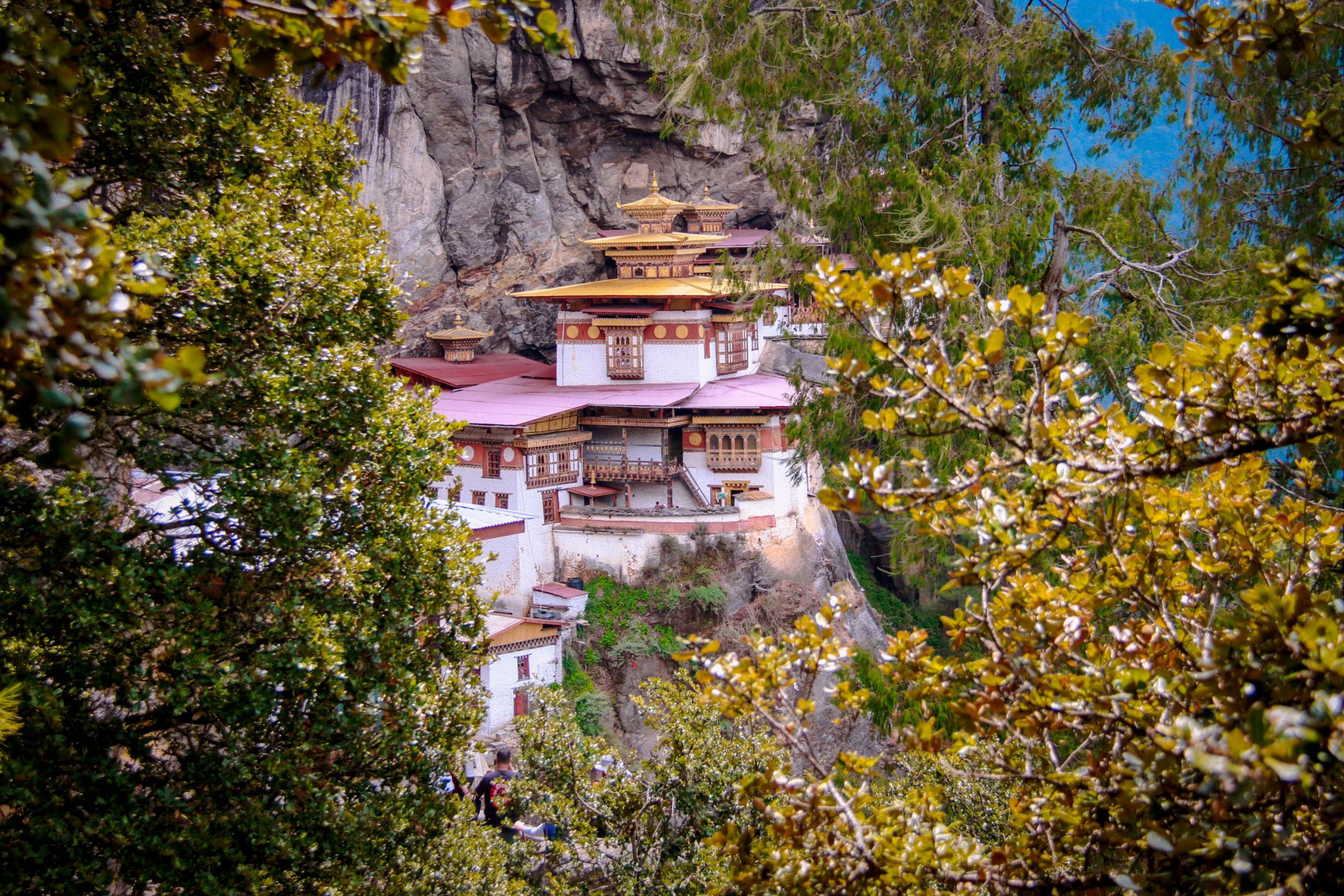 Top things to do in Bhutan which you must not miss